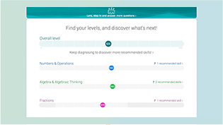 The student diagnosing experience